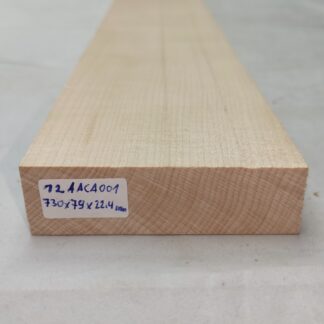 Bild Gitarrenhals Rohling Ahorn CA